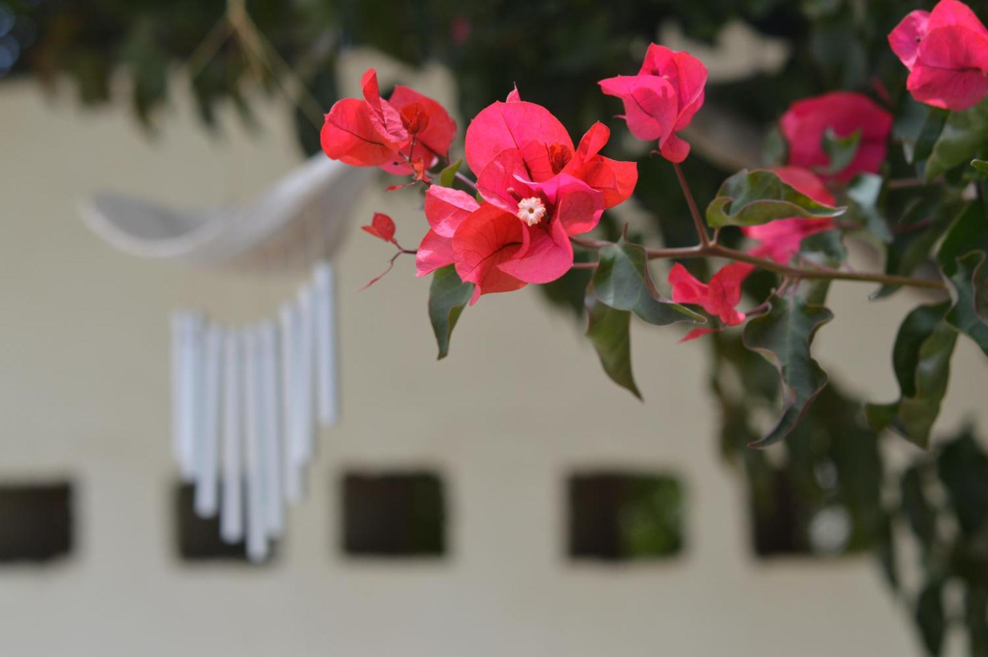 Cottage On Diamond Street Swakopmund Exterior foto